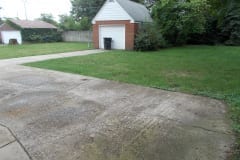 Backyard-View-from-House